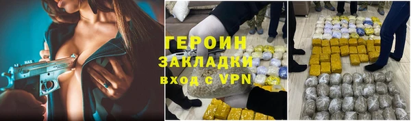индика Новодвинск