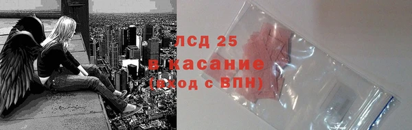 сатива Абинск