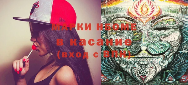 сатива Абинск