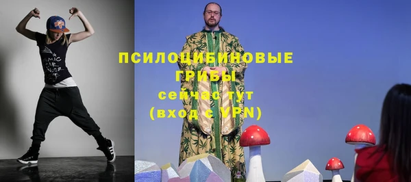 крисы Абдулино