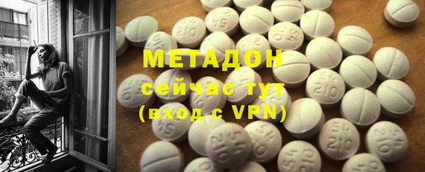 индика Новодвинск
