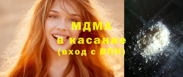 индика Новодвинск