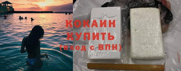 индика Новодвинск