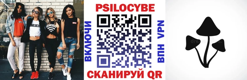 блэк спрут ТОР  Сокол  Галлюциногенные грибы GOLDEN TEACHER  что такое наркотик 